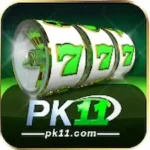 pk11 Game